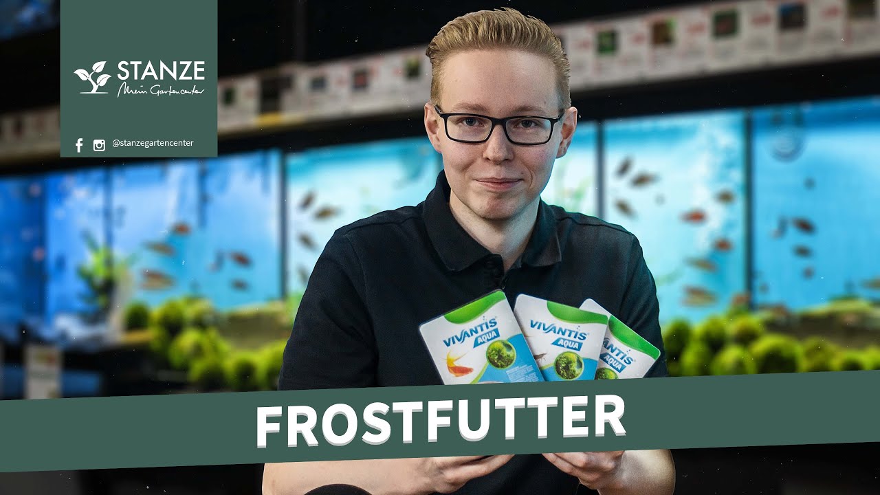 Frostfutter für das Aquarium