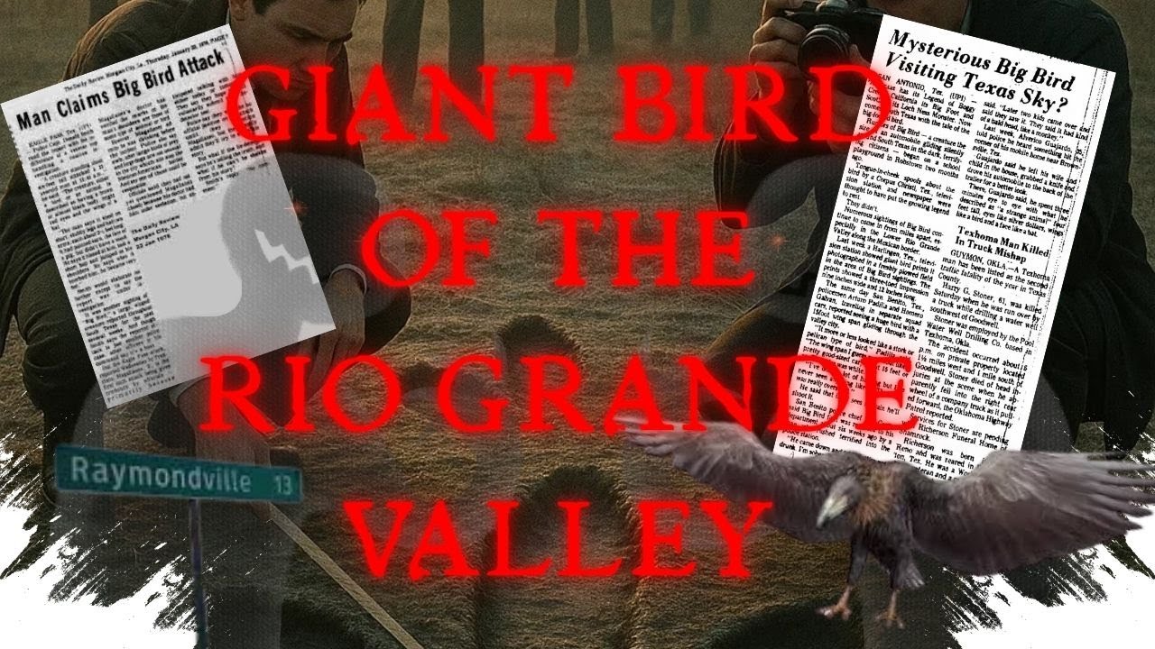 The Giant Bird That ATTACKED a Man in Texas | The Terrifying 1976 Encounters