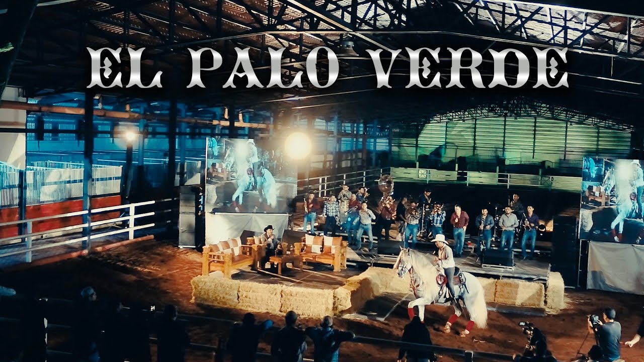 Joel Elizalde - El Palo Verde (En Vivo)