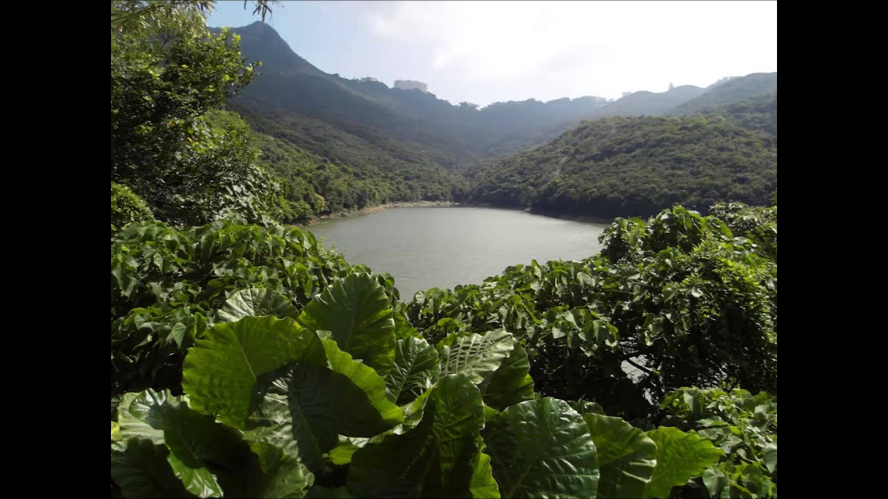 Pok Fu Lam Reservoir, 薄扶林水塘