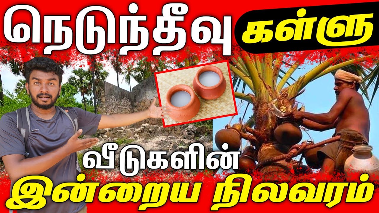 நெடுந்தீவின் இன்றைய நிலவரம் | DELFT ISLAND NOW | #jaffna