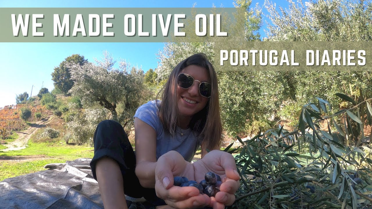 Making Olive Oil | PORTUGAL DIARIES