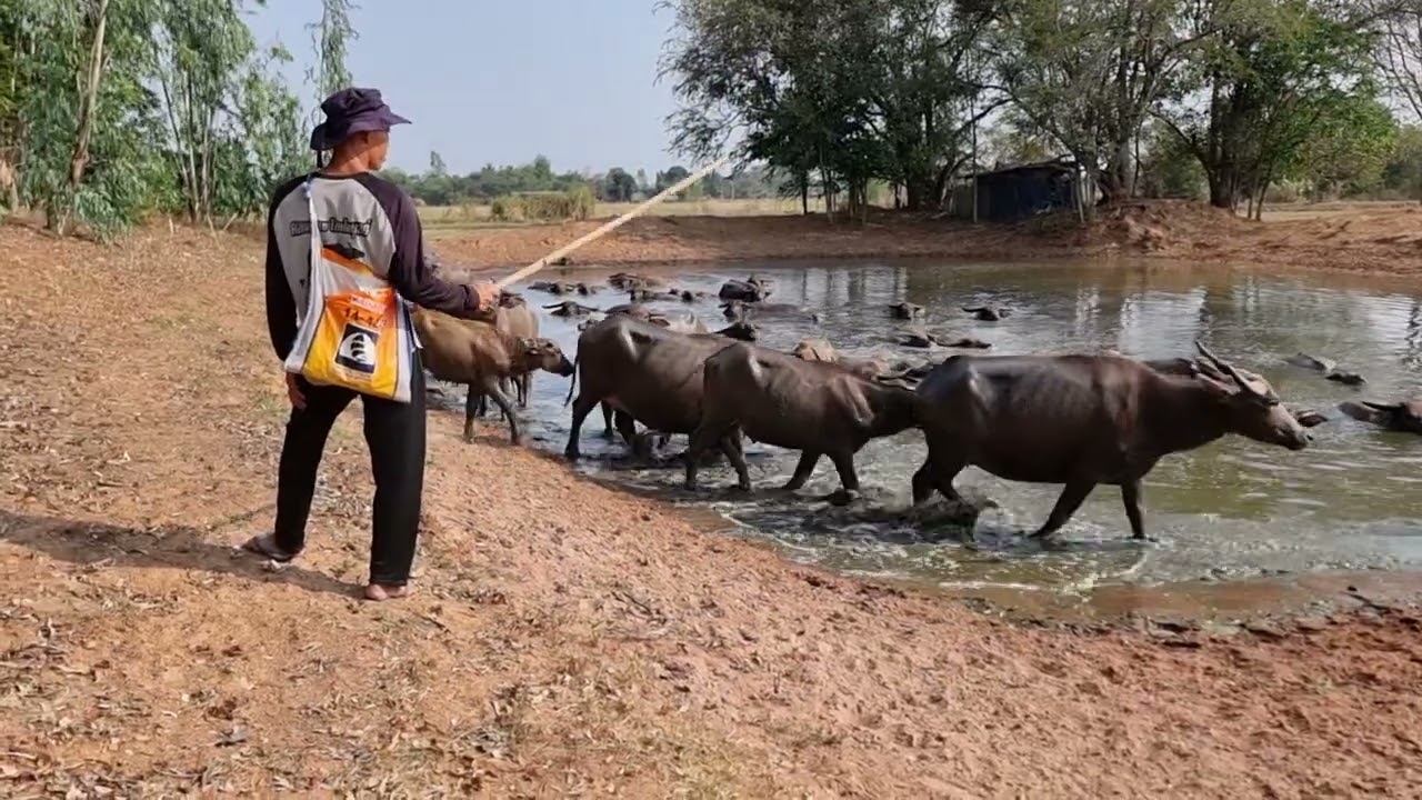คนสู้ชีวิต