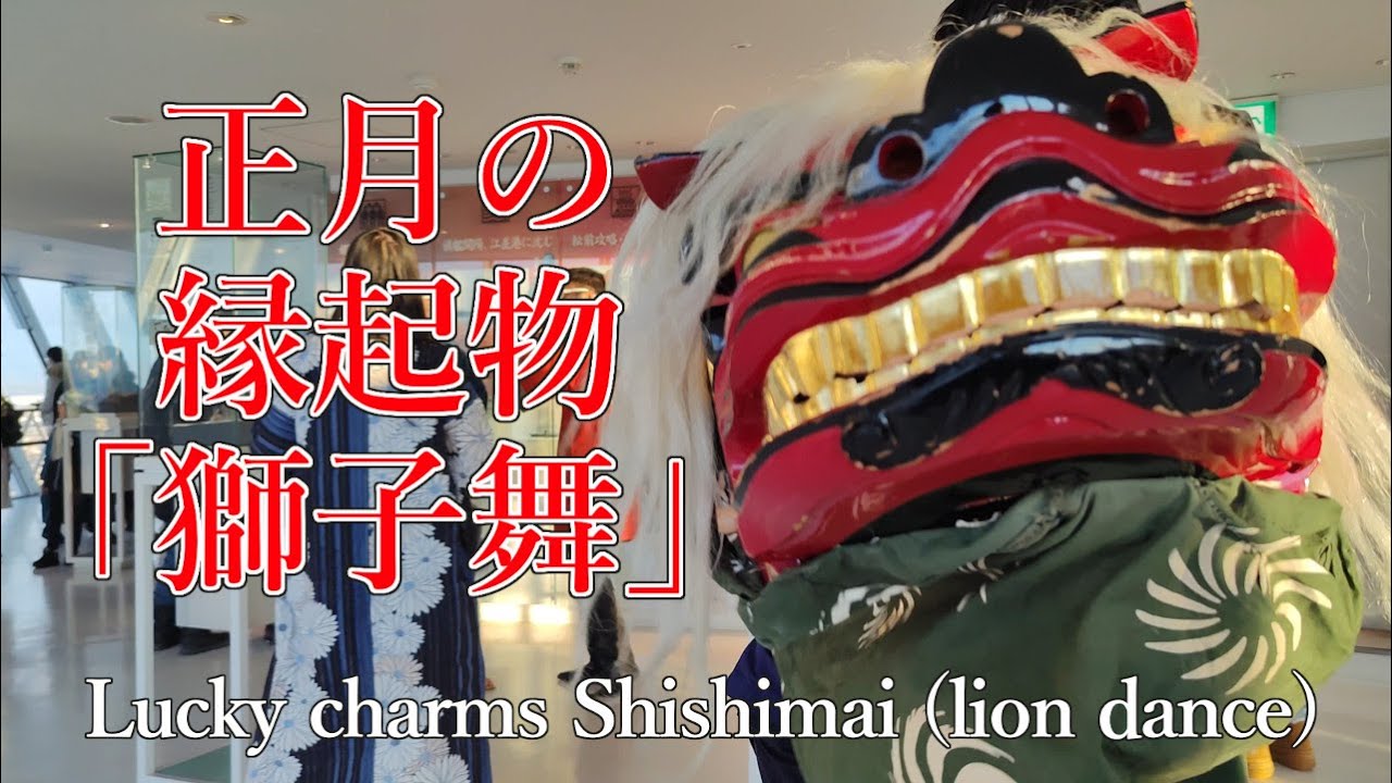 20240101【4K】獅子舞 Shishi mai Dance lion dance#正月 #獅子舞 #縁起 #函館