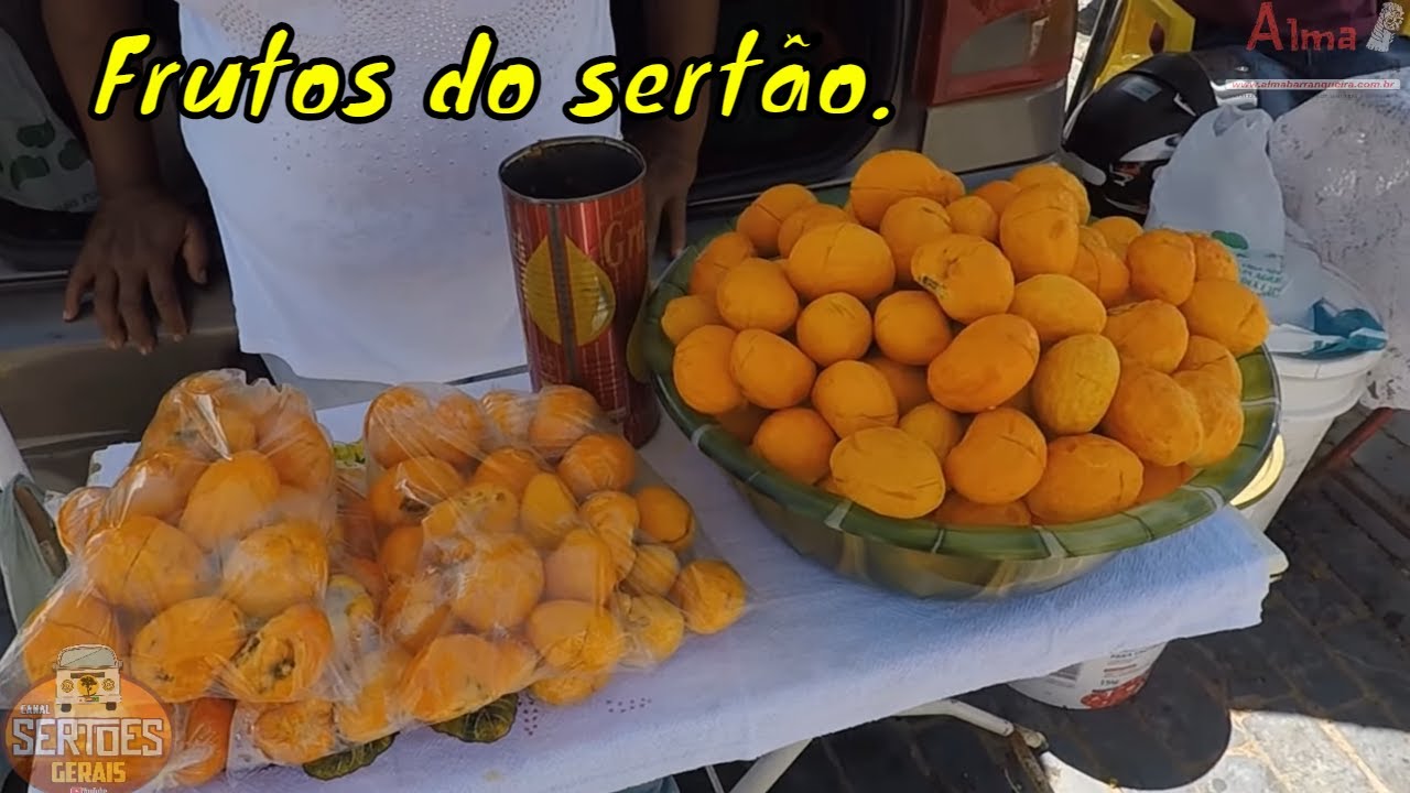 Frutos do sertão. - P 565.