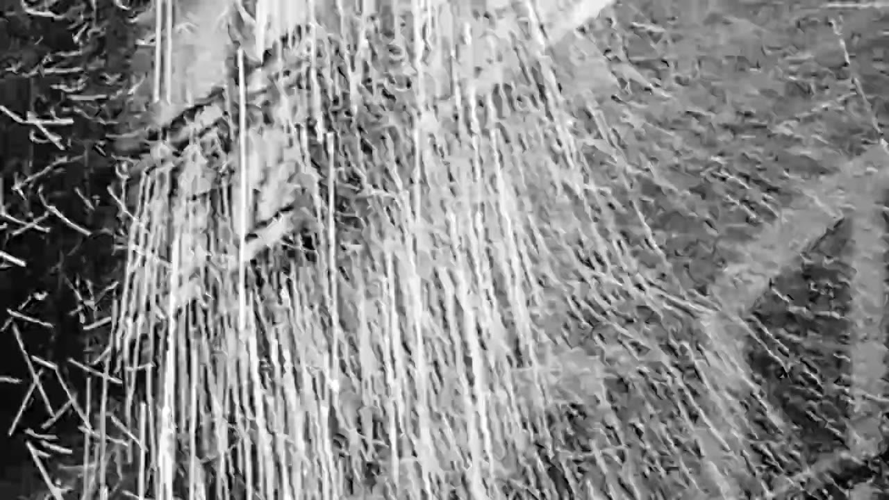 Coisa! - Funeral In Berlin: The Story Of Untitled  N° 3