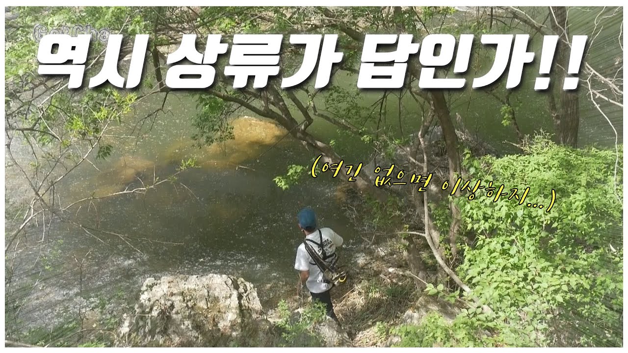 배스들이 바글바글! 이럴때 역시 빅베이트가... [feat.박성완] ep.34_korea bass
