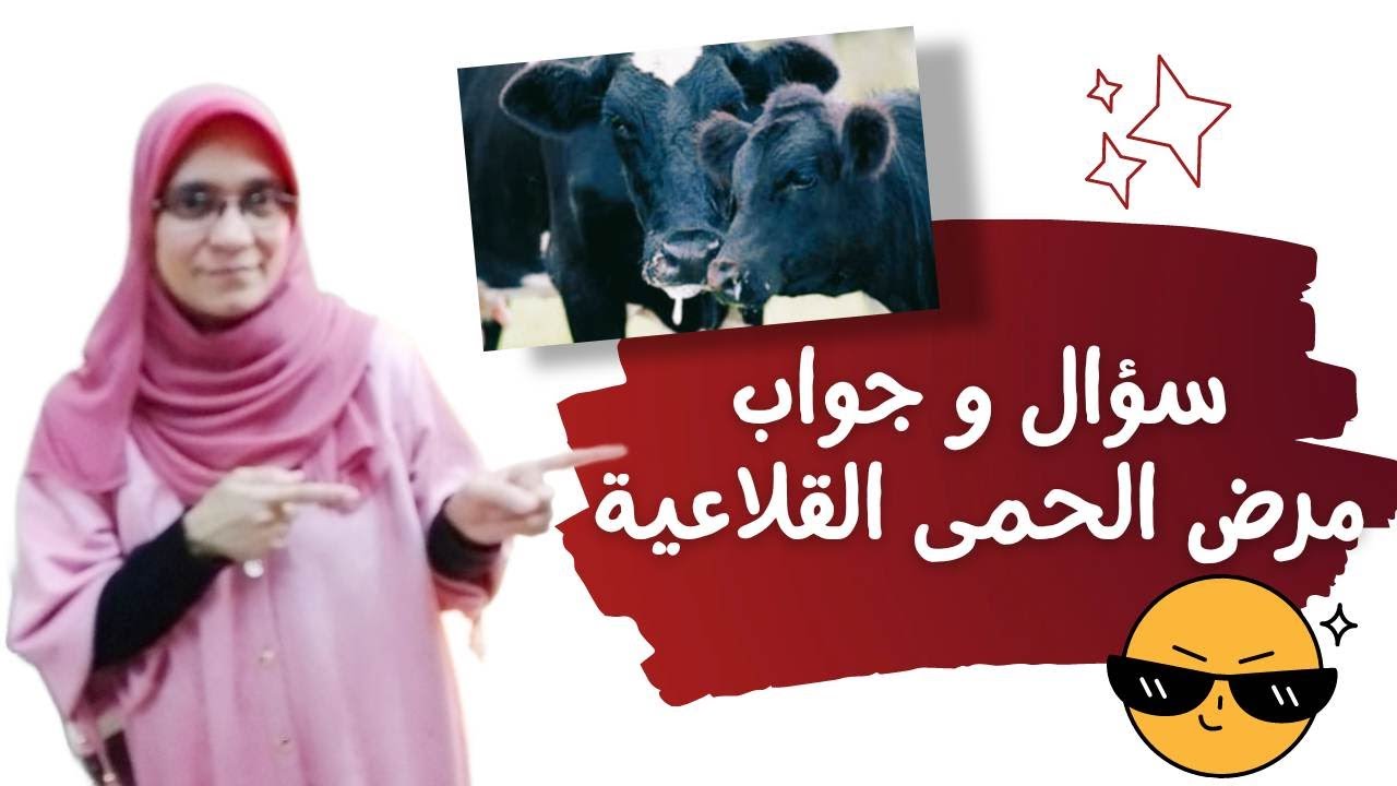سؤال و جواب  عن مرض الحمى القلاعية#دلمياء_فؤاد