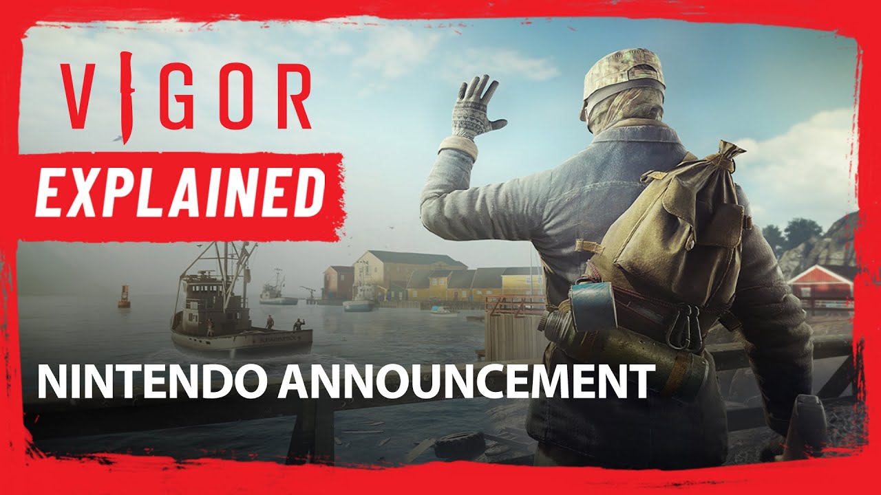 Vigor Explained: Nintendo Termination of Services