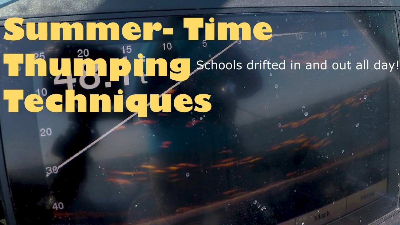 Lake Texoma Summer Time Thumping Techniques with Panoptix View