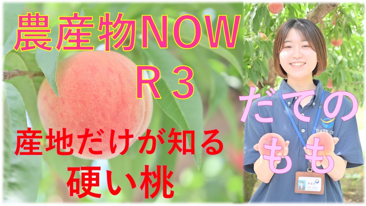 農産物NOW R3 　Vol.4 伊達のもも