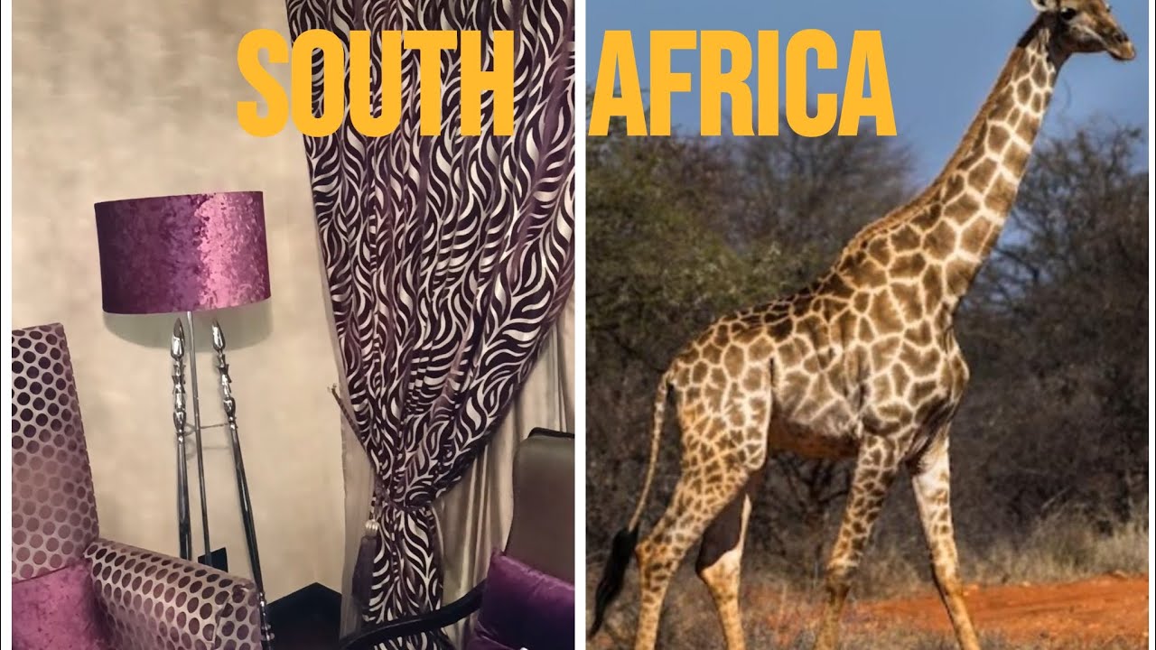 ⭐⭐⭐⭐⭐ Five star_One of the best hotels in South Africa Limpopo Palala Boutique, Game Lodge & Spa