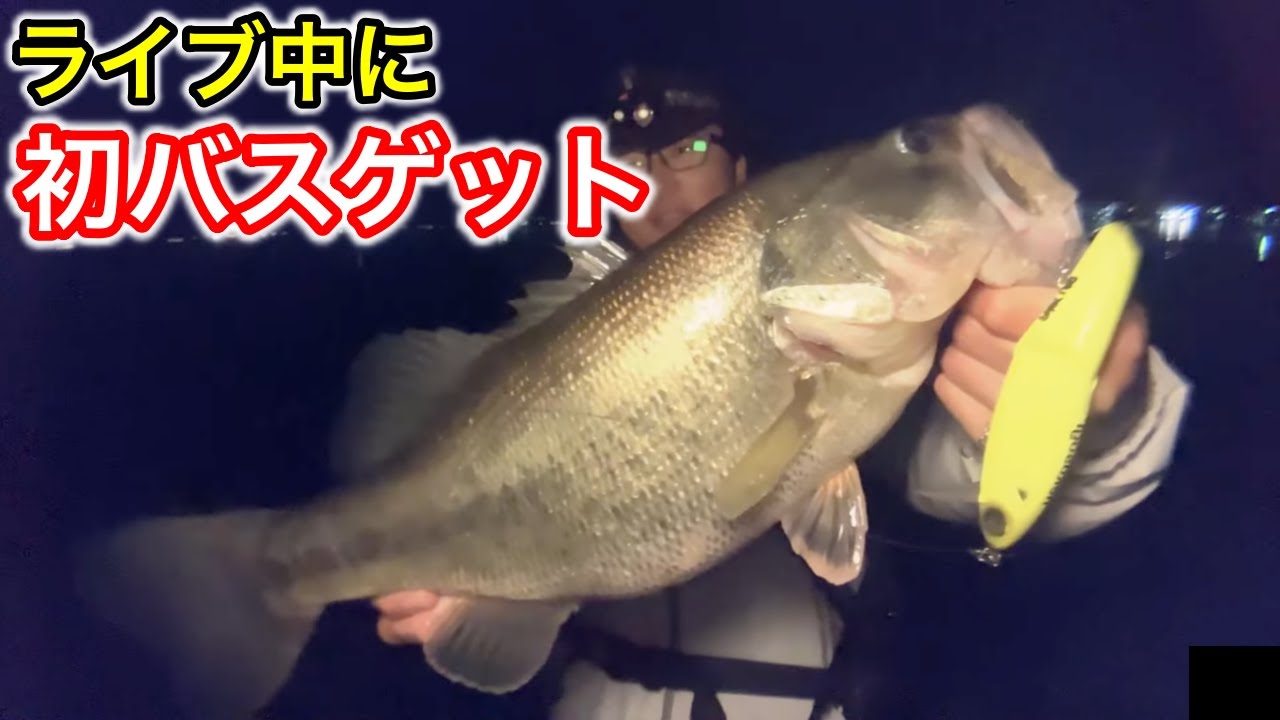 【2026年初バス】ビッグベイト（ネコソギDSR）でゆっくり巻いたらデカバスが釣れました！【バス釣り】