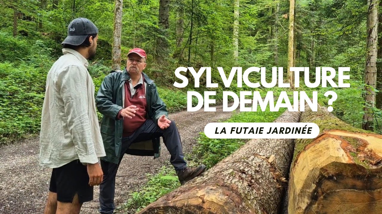 Le Garde forestier, Balade en forêt avec Claude-André Montandon