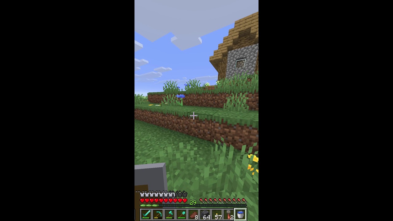 Starting A New Minecraft World!
