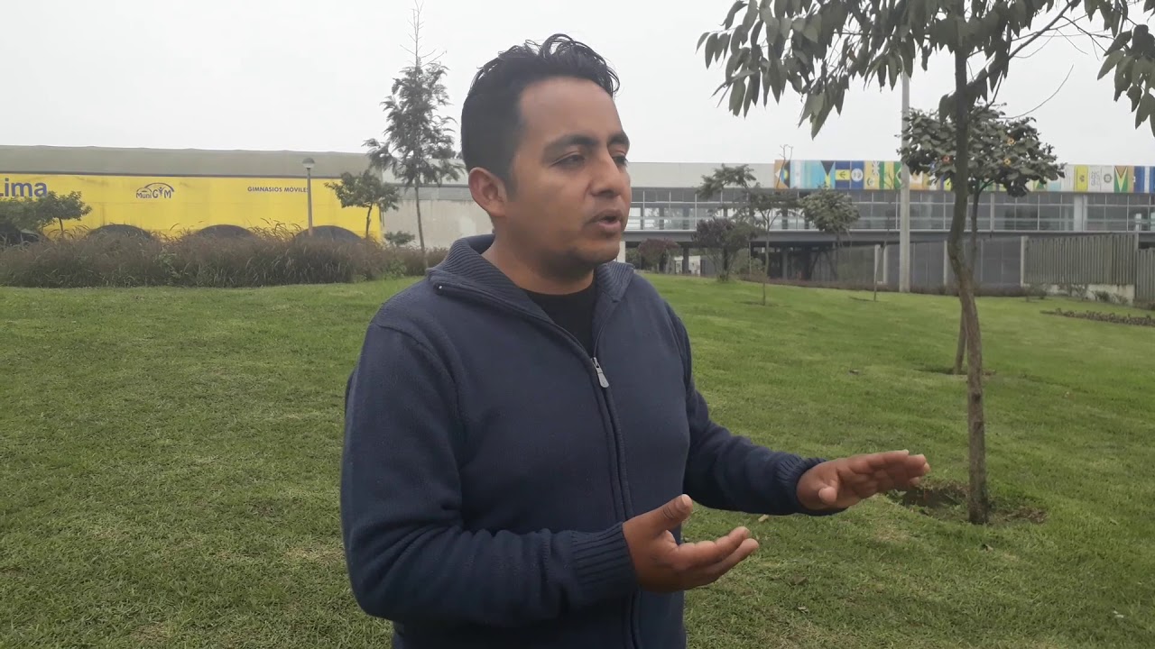Cómo corregir a un perro agresivo. Parte 1