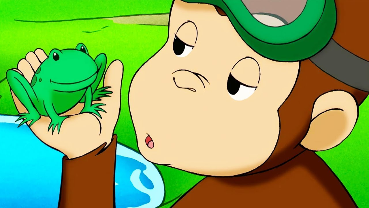 Ciekawski George 🐵Ciekawski George i kijanki🐵Bajki 🐵Bajki Dla Dzieci 🐵Bajki Po Polsku
