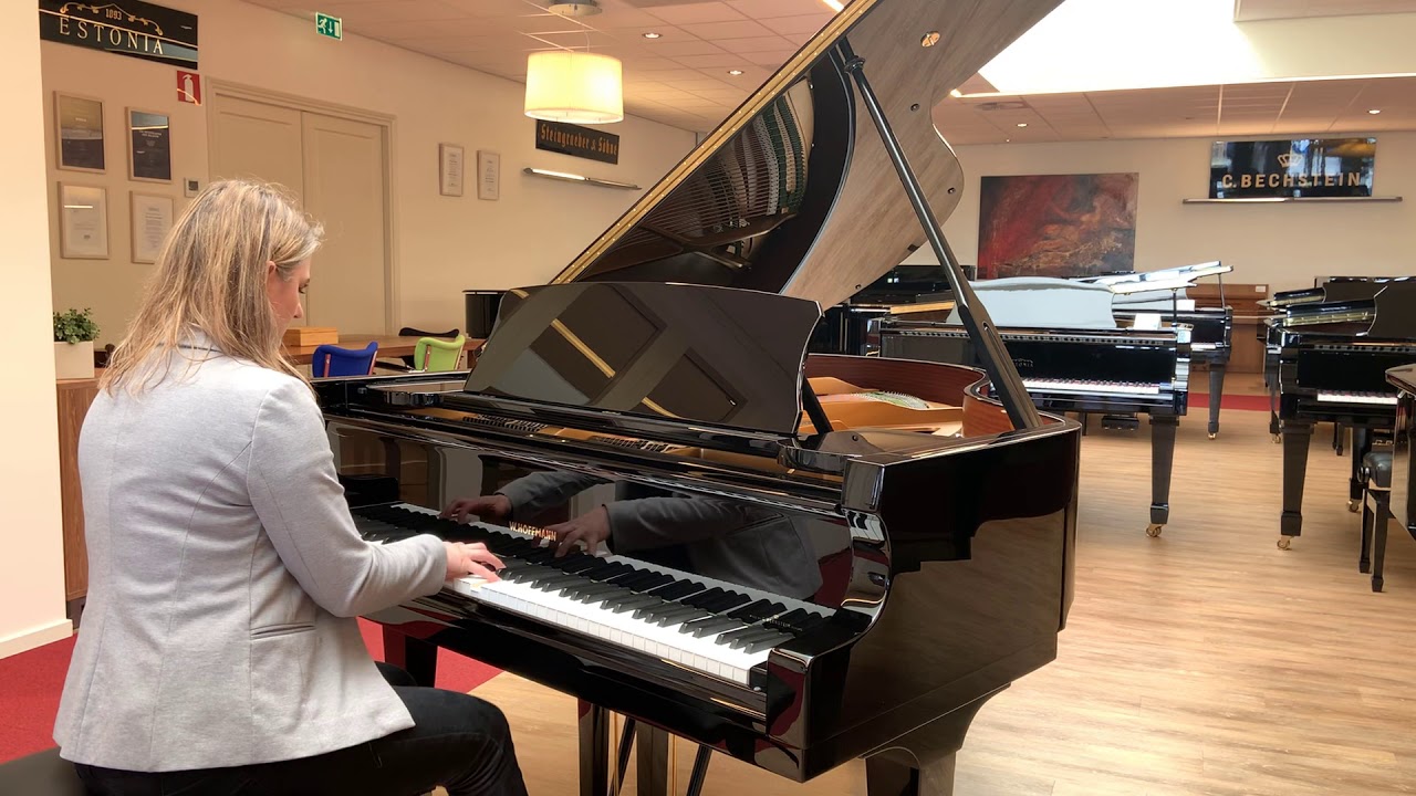 W. Hoffmann T-177 vleugel, moderne muziek