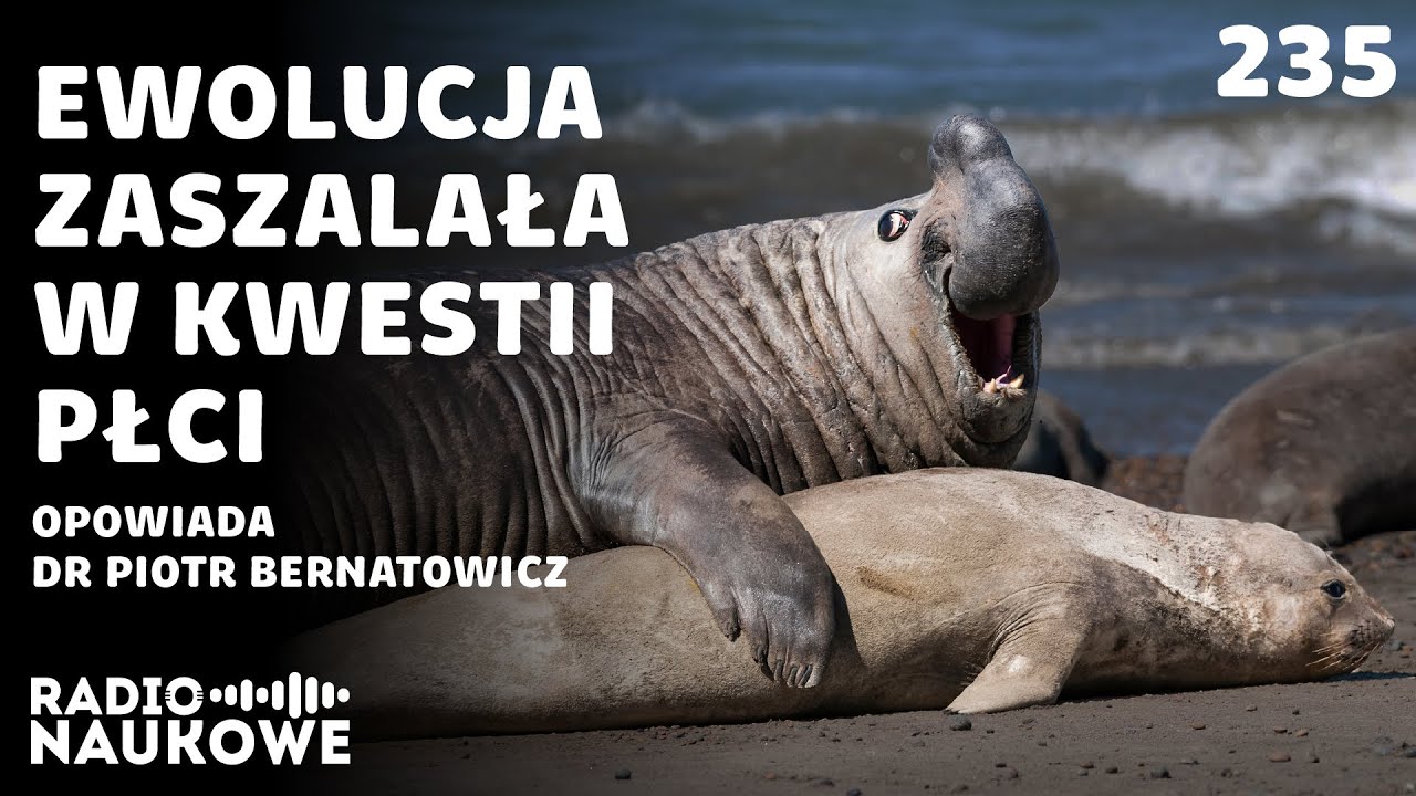 Płeć a ewolucja &ndash; biologia nie lubi nudy i prostych podział&oacute;w | dr Piotr Bernatowicz