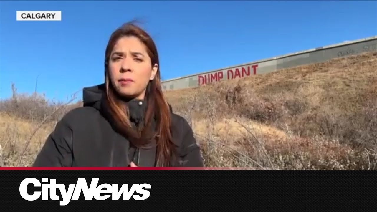 Art vs. graffiti: 'Dump Dani' message near Calgary's Deerfoot Trail sparks debate