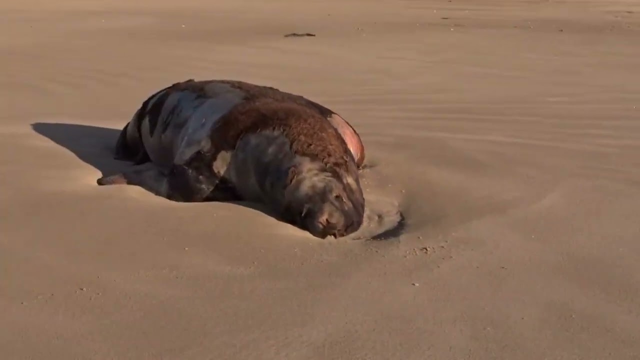 TRAVESSIA RIO GRANDE X CHUÍ