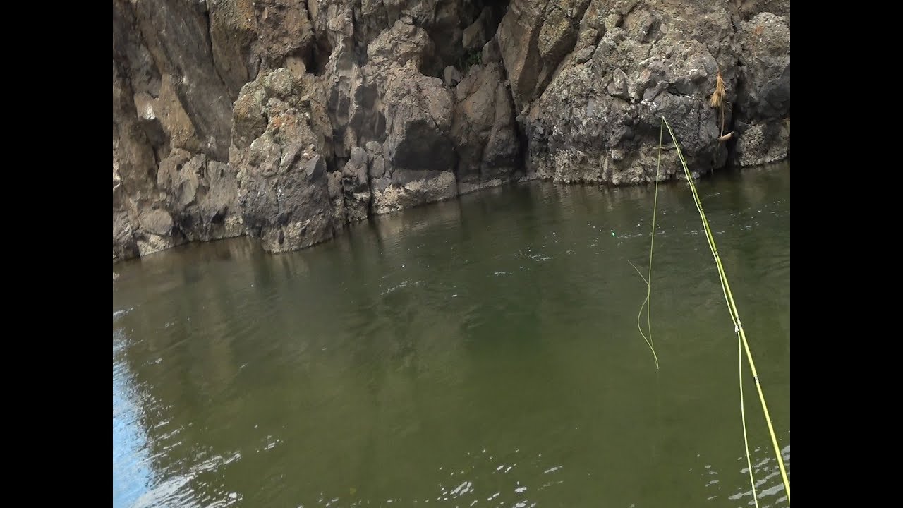 East Carson River Fishing (backcountry)