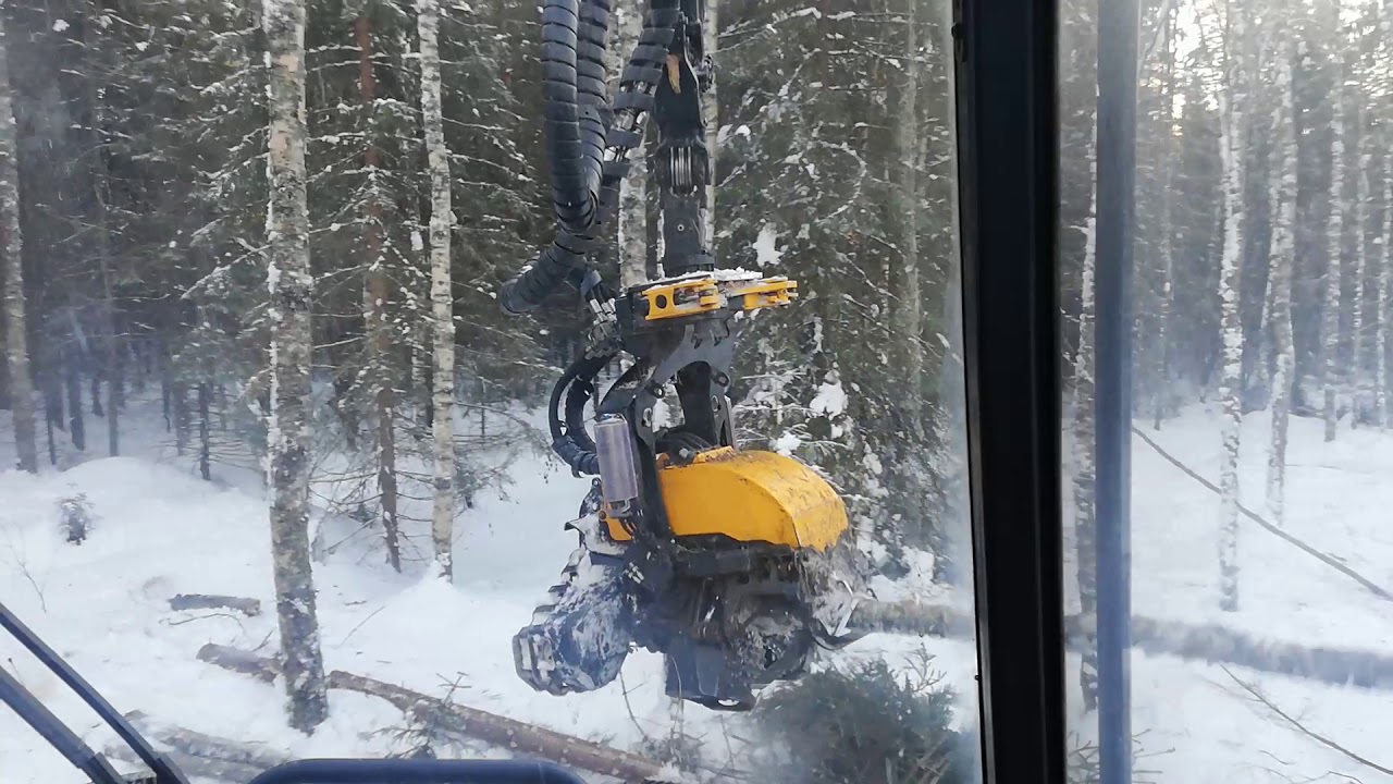 Ponsse scorpion h5 sekametsän harvennus