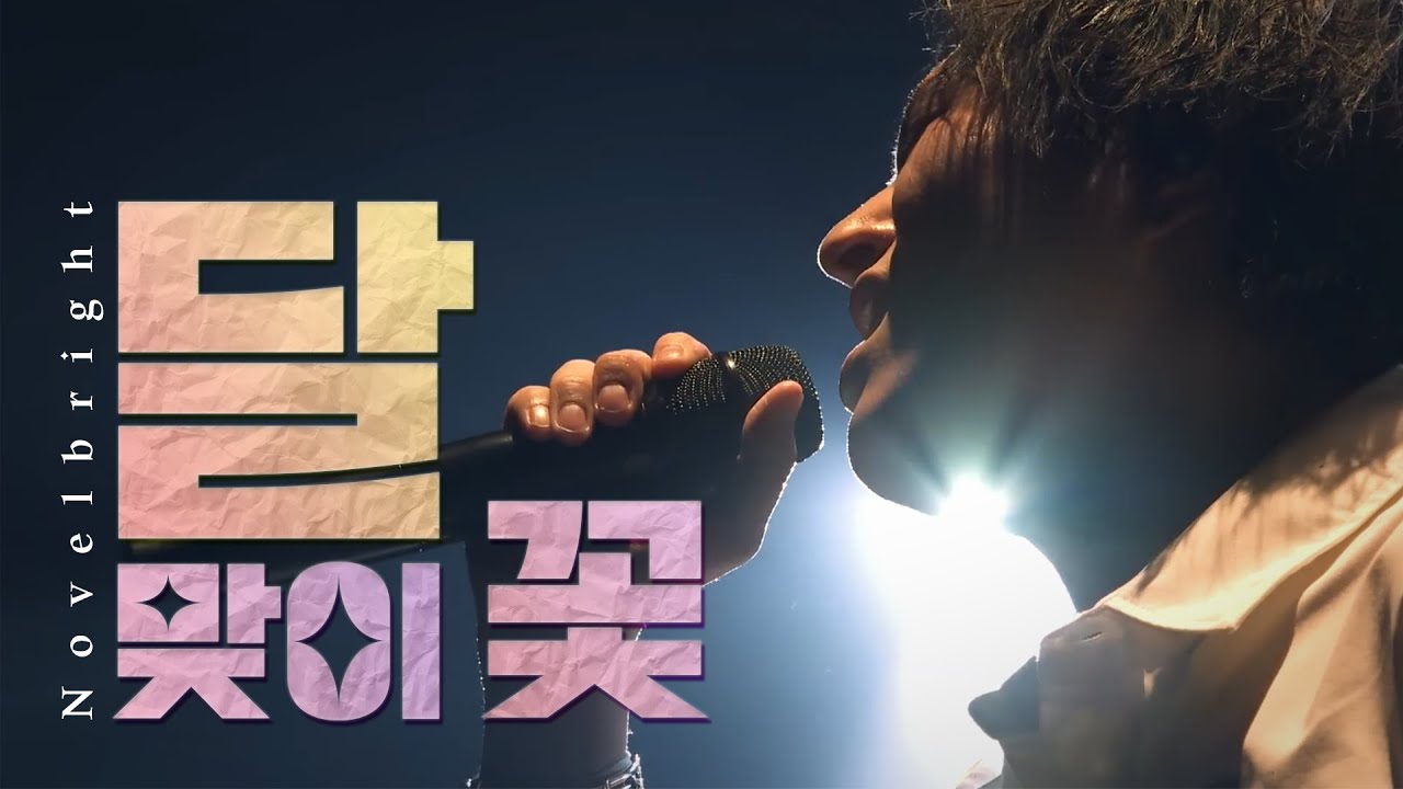아직도 너를 잊지 못해..🥀 Novelbright - 달맞이 꽃(ツキミソウ) 라이브  | 가사/해석/번역