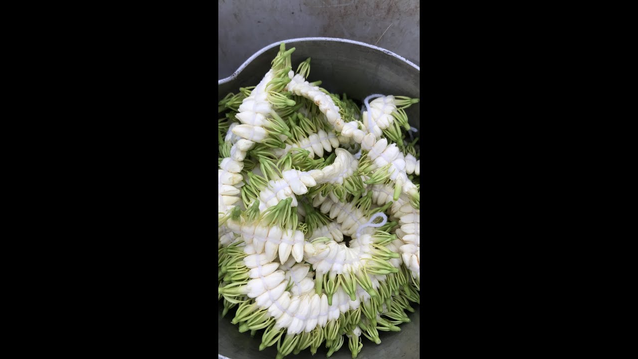 سوق الفل وأبناء جازان