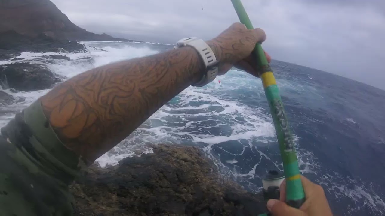 600:💯💯💯💯💯💯Videos📽 Pez🐟 Rey👑cuantos momentazos‼‼👌🎣😄🤙