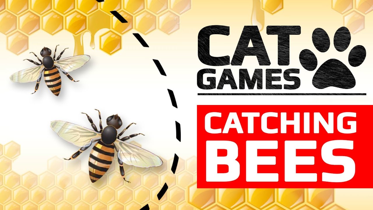CAT GAMES - 🐝 CATCHING BEES (ENTERTAINMENT VIDEOS FOR CATS TO WATCH)