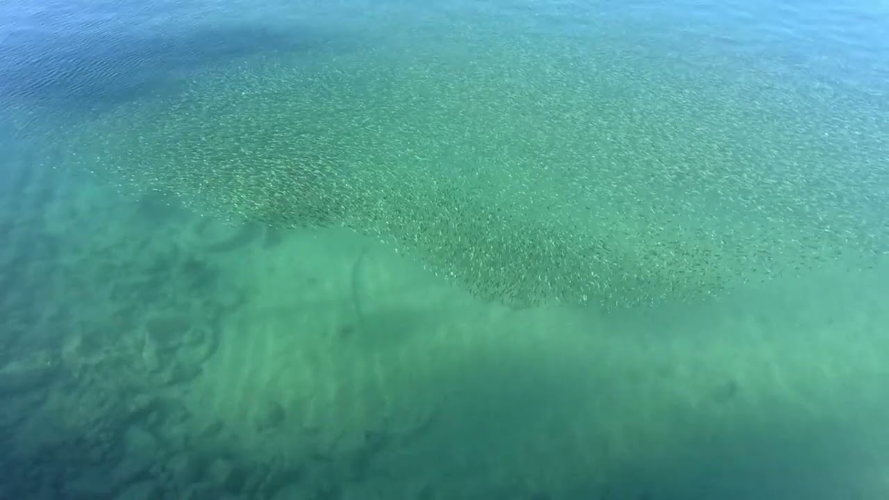 Aerial View of Clear Tropical Ocean Waters