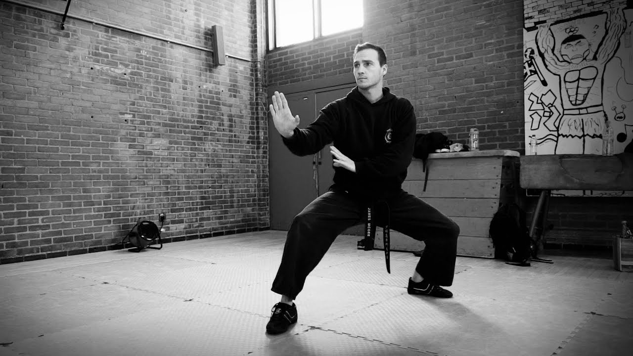 Kung Fu Fix - Black Crane