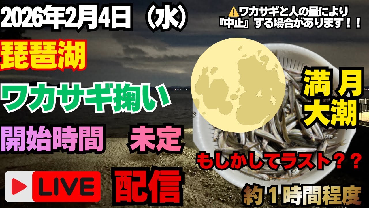 2026年2月4日〔水）『琵琶湖ワカサギ掬いLive配信』#琵琶湖ワカサギ掬い #琵琶湖 #ワカサギ#ワカサギ掬い 
