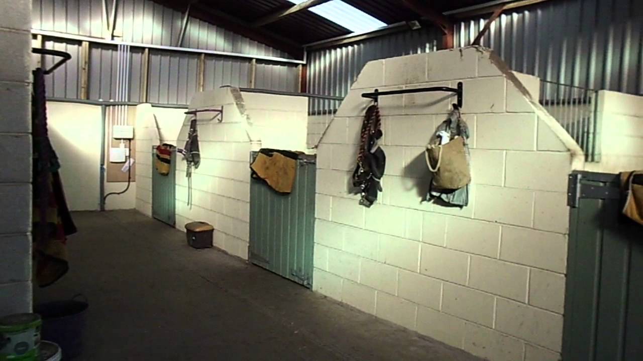 Updated Barn Tour & Horse Organisation