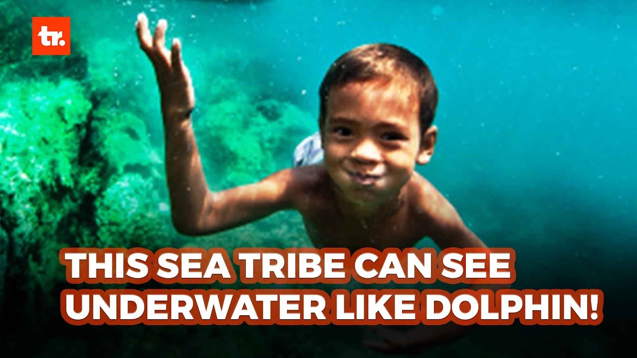 The People of This Sea Tribe Can See Underwater Like Dolphin!