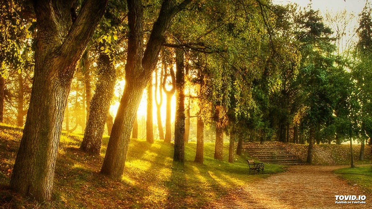 بعض فوائد ( قل ادعوا الله أو ادعوا الرحمن أيّا ما تدعو فله الأسماء الحسنى )