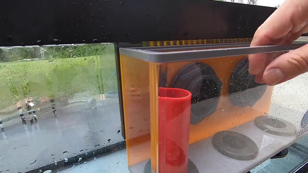 75gal Saltwater Aquarium with Eshopps Prodigy L Overflow Part 1-Vlog 20