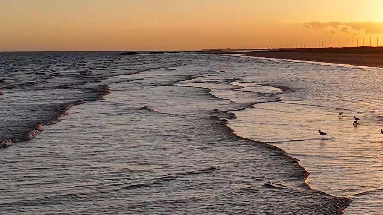 Holly Beach 26