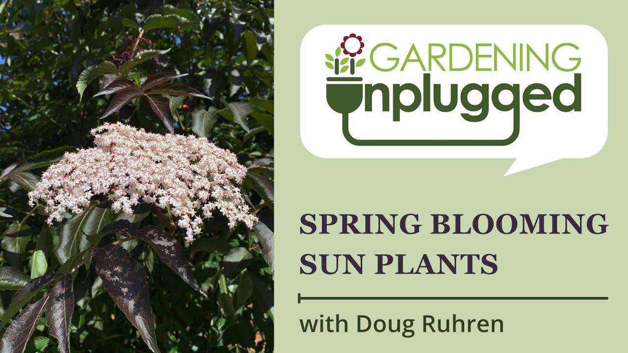 Gardening Unplugged - Spring Blooming Plants with Doug Ruhren (Part 3 - Sun Garden)