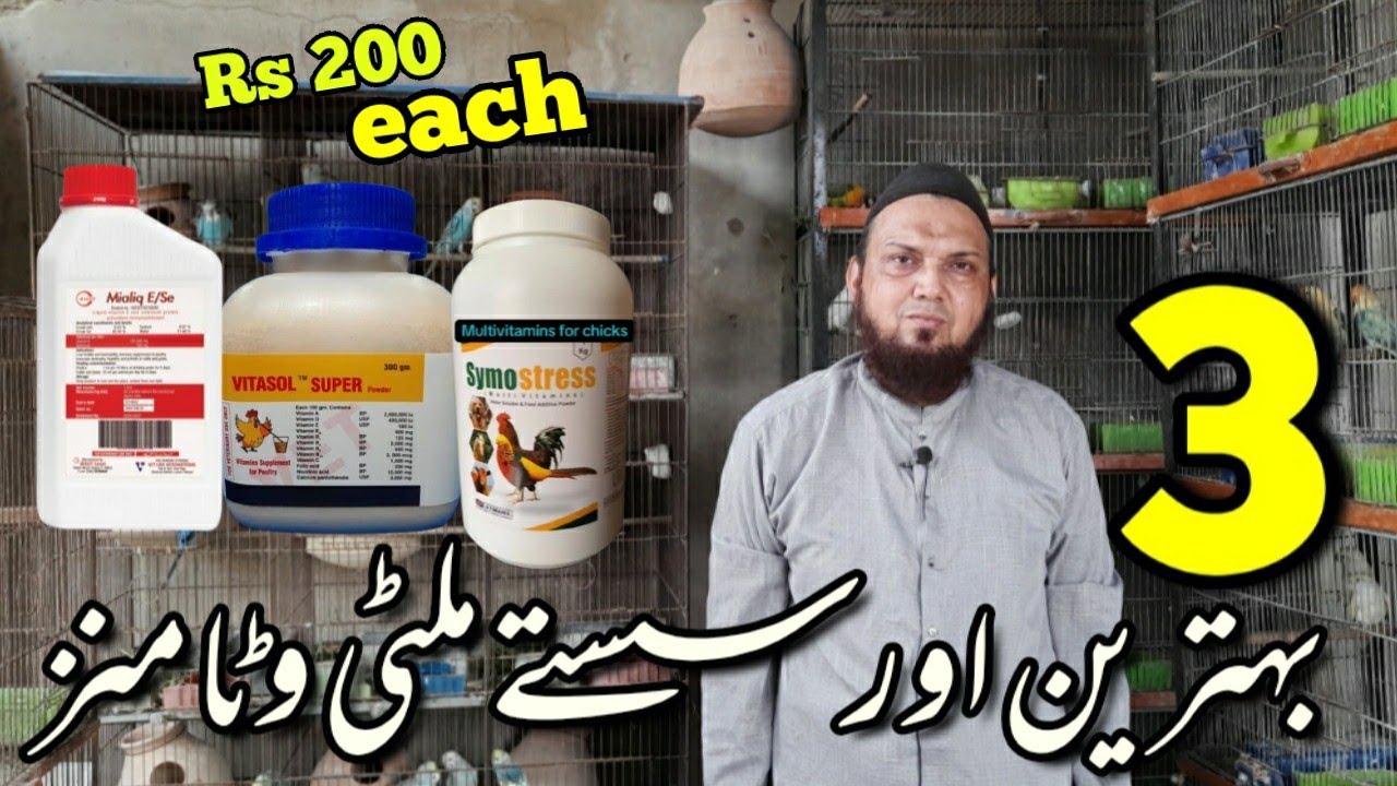 3 بہترین اور سستے ملٹی وٹامنز ہر برڈز کے لیے|Best cheapest multivitamins|zunair birds