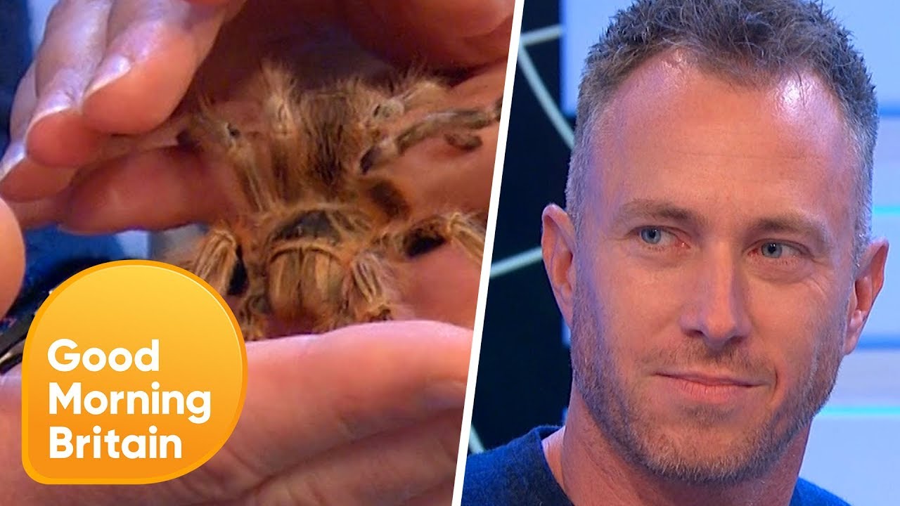 Arachnophobia Cured Live on Air! | Good Morning Britain