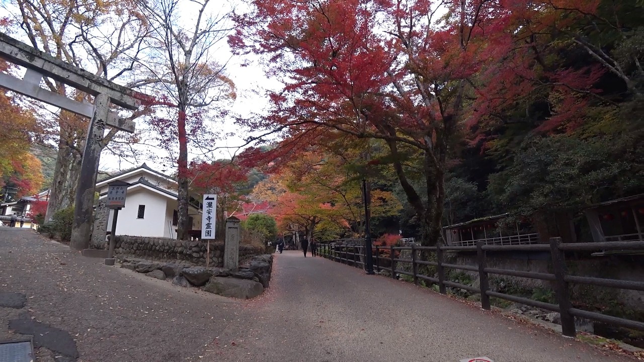 【散歩】 大阪：箕面もみじまつり 2　OSAKA：Take a Walk to Minoh Falls