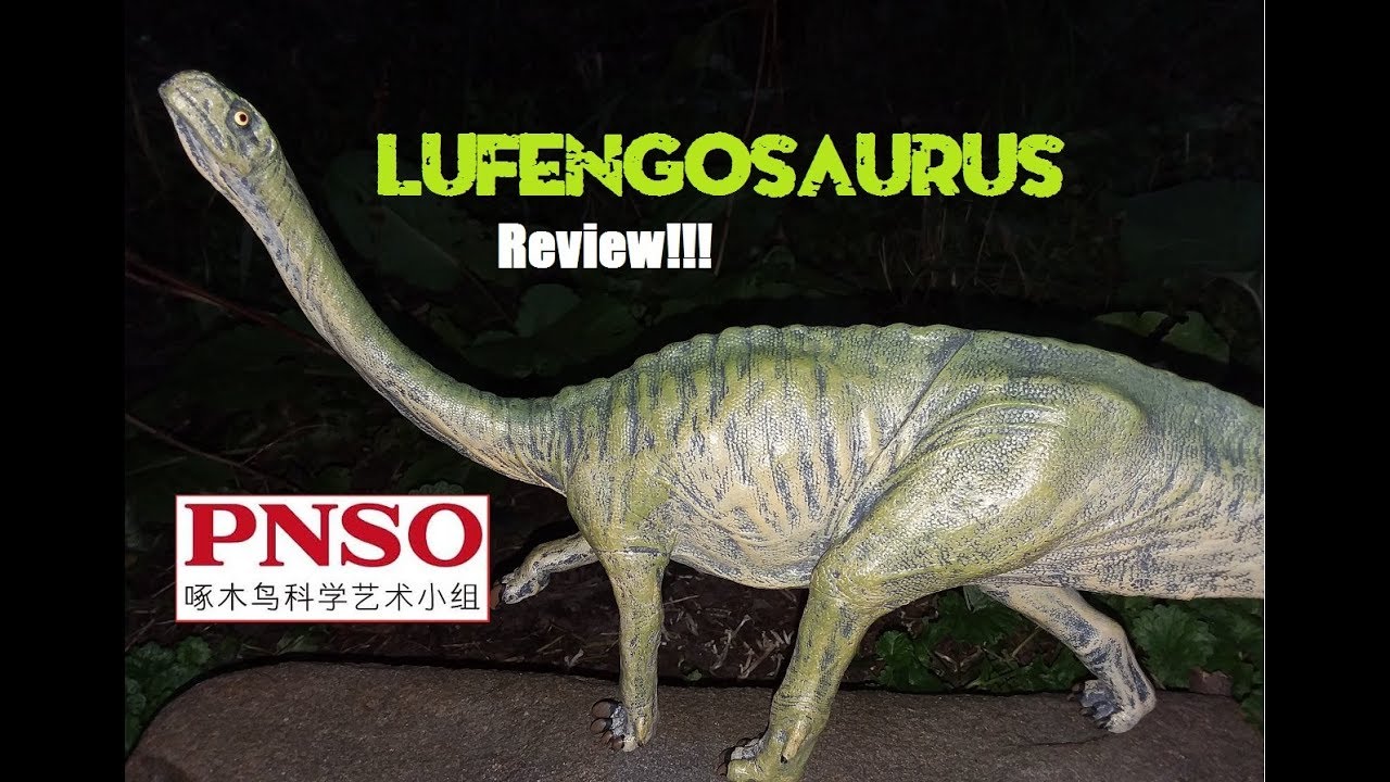 PNSO Large Vinyl Lufengosaurus Review!!! Another huge model!