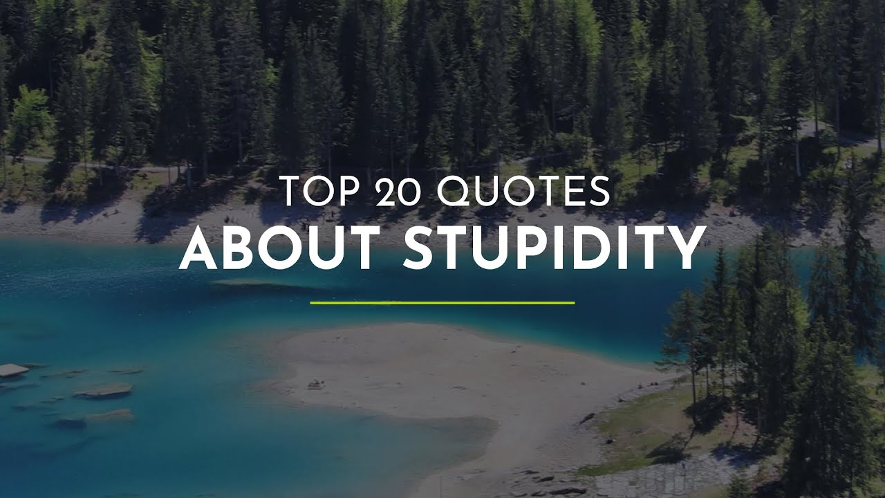 TOP 20 Quotes about Stupidity ~ Quotes About Change ~ Happiness Quotes