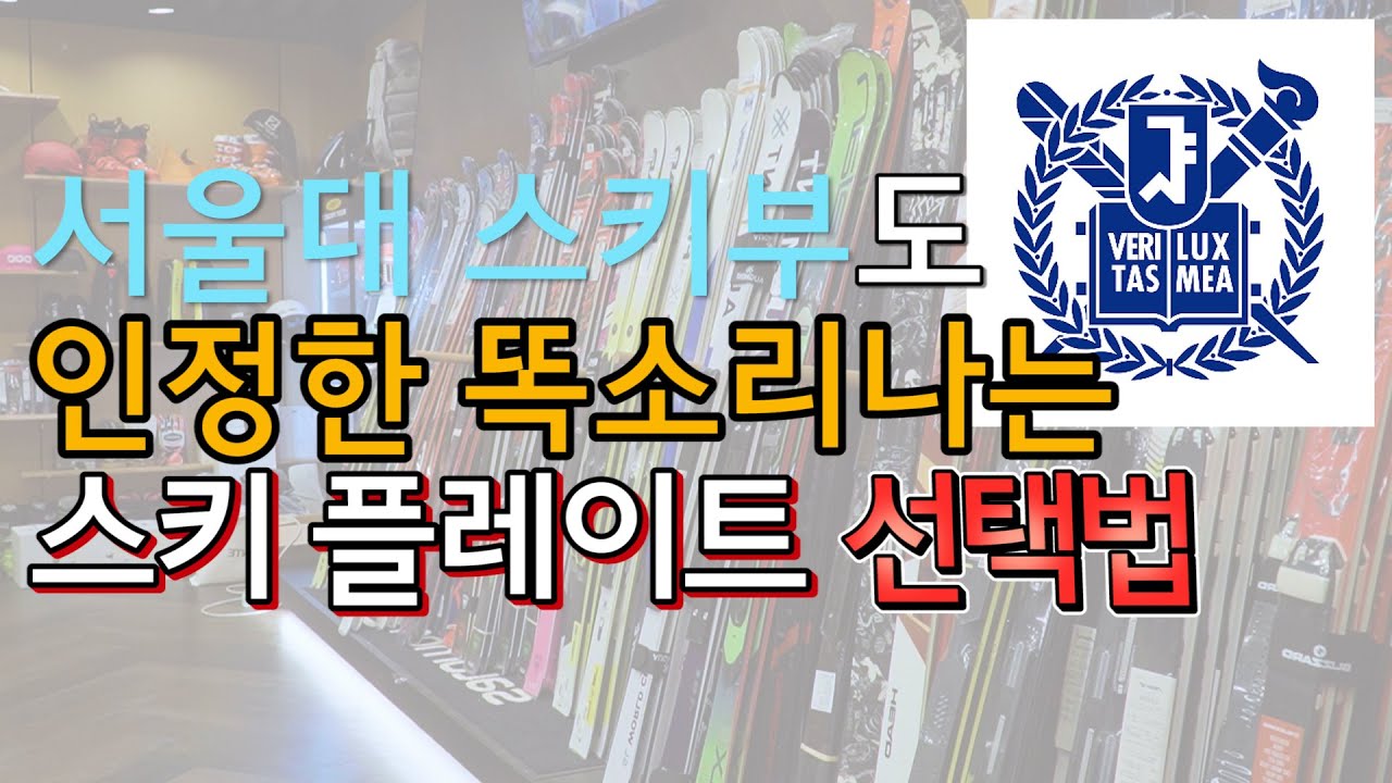 스키 플레이트 선택의 모든 것 Feat. BHS