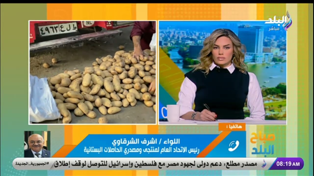 الزراعة: طرح تقاوي بطاطس بـ 69,5 ألف جنيه.. التفاصيل