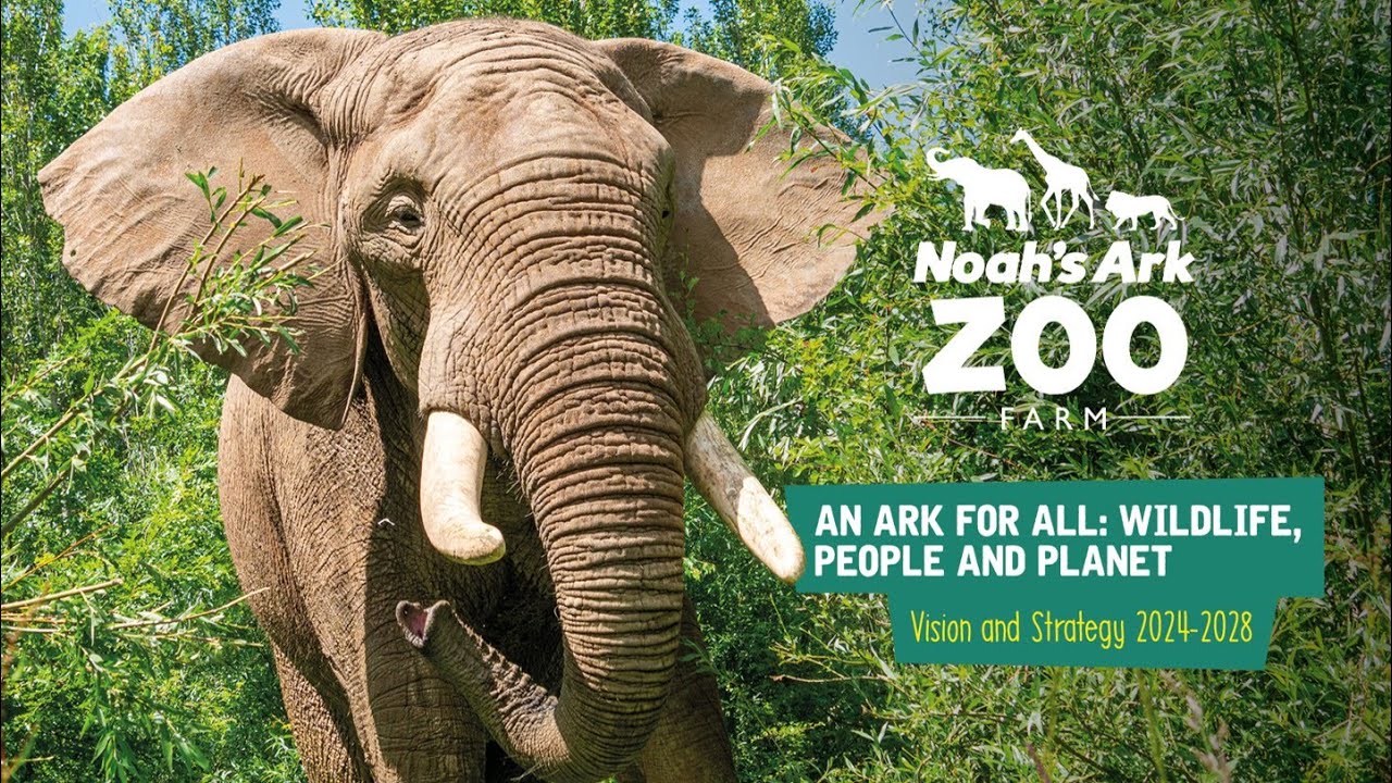 ✨ Our Vision For The Future of Noah's Ark Zoo Farm ✨