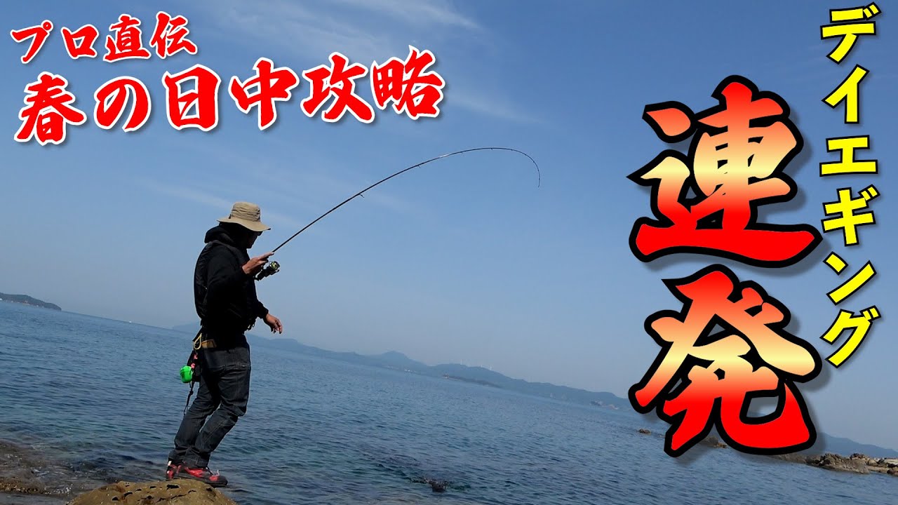 春イカデイエギング攻略！狙い方で釣れ方が変わる、数釣り方法をノーカット実釣解説