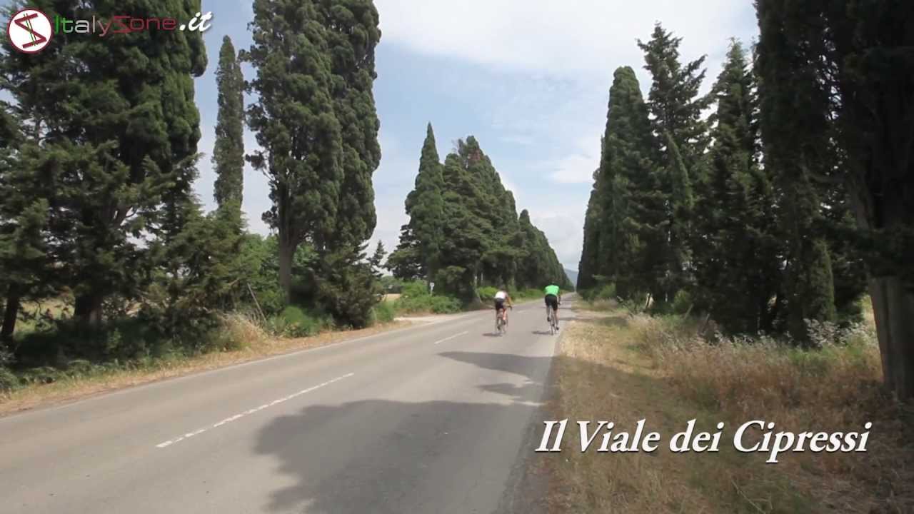 Bolgheri e il viale dei Cipressi che porta a San Guido